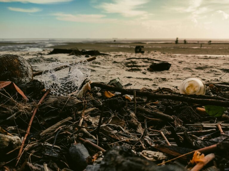 Pexels ihsanaditya 12221022