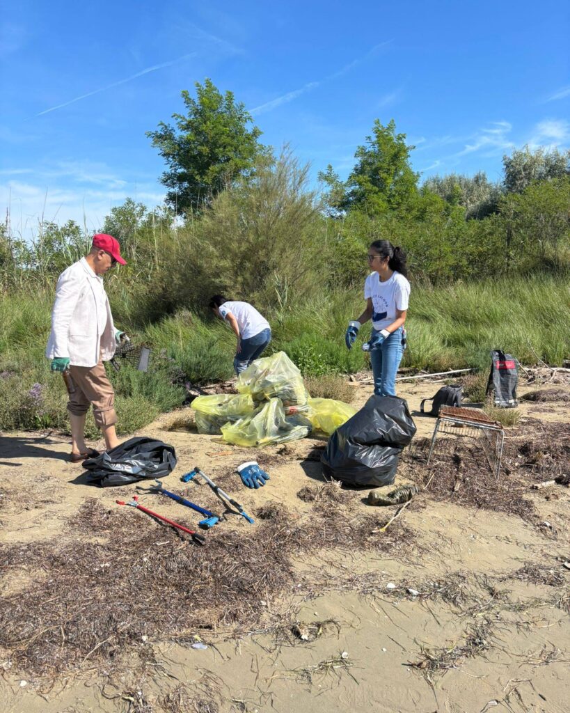 515438044 786564007381913 2684489683888747152 n