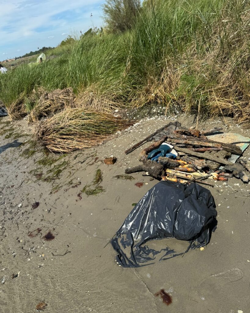 515438221 786564090715238 3268477125775396633 n