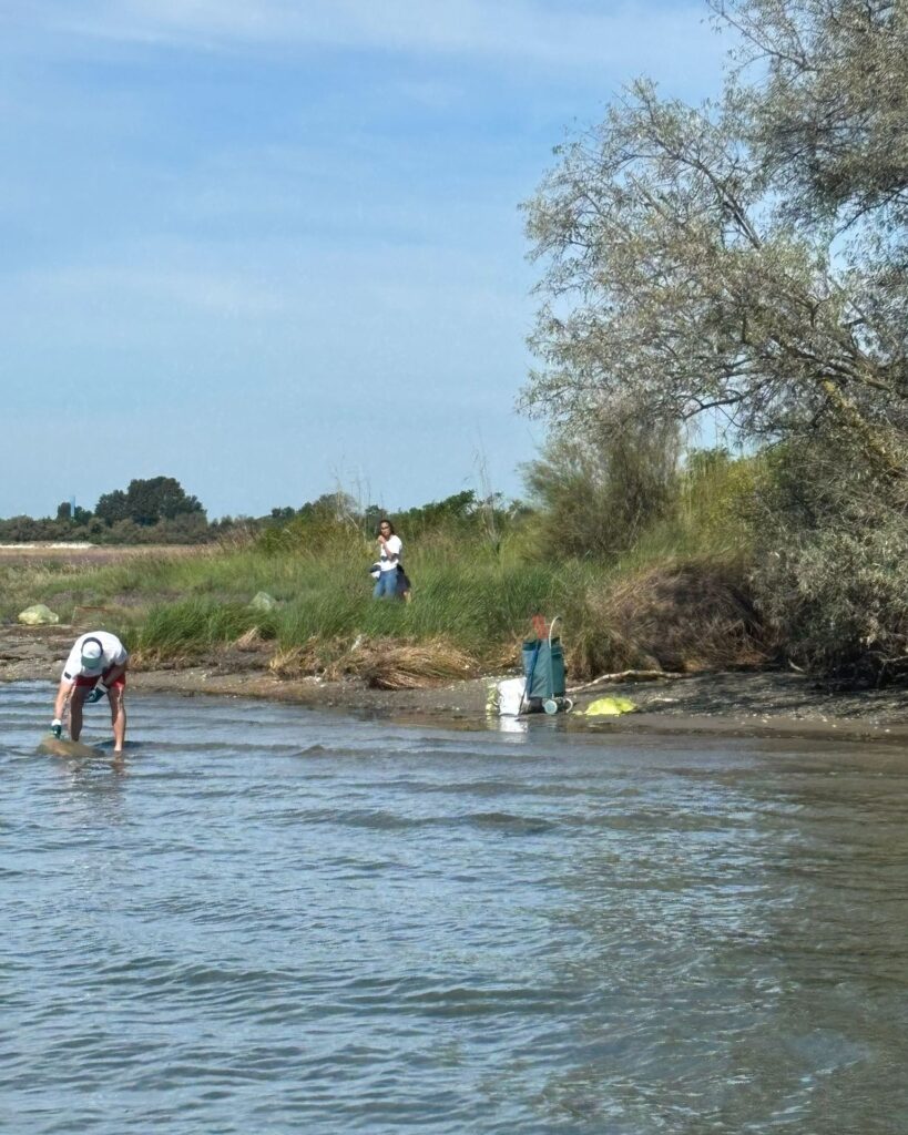 528009660 786563850715262 3184462786409631283 n