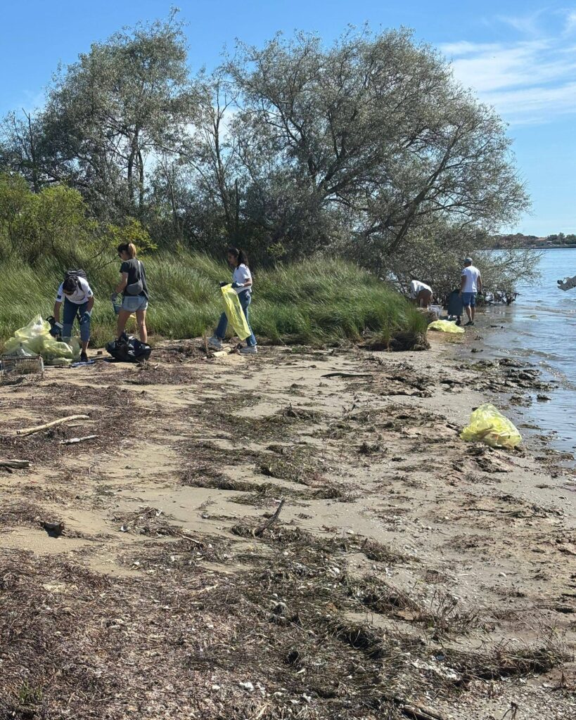 528034898 786564070715240 8457366600124520344 n