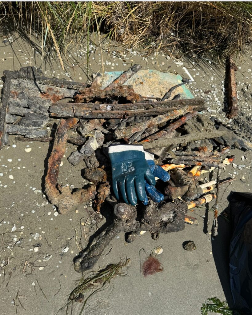 528800204 786564050715242 296993714343342206 n