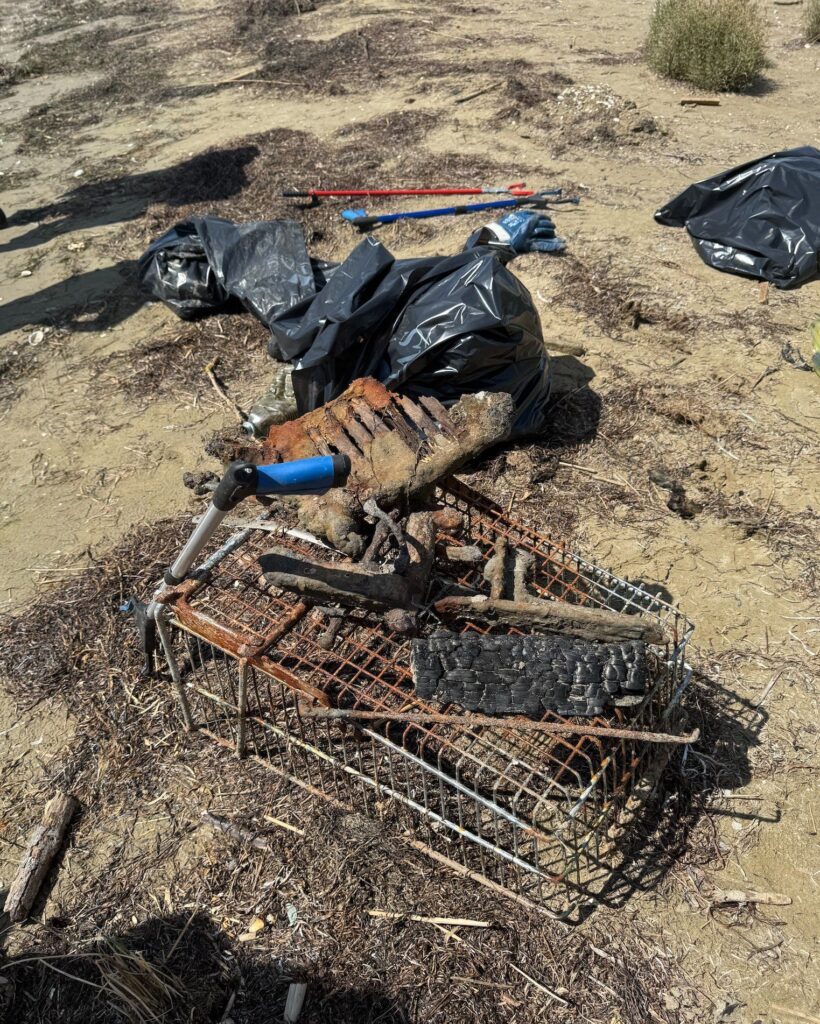 529346101 786564110715236 7066355549337789441 n