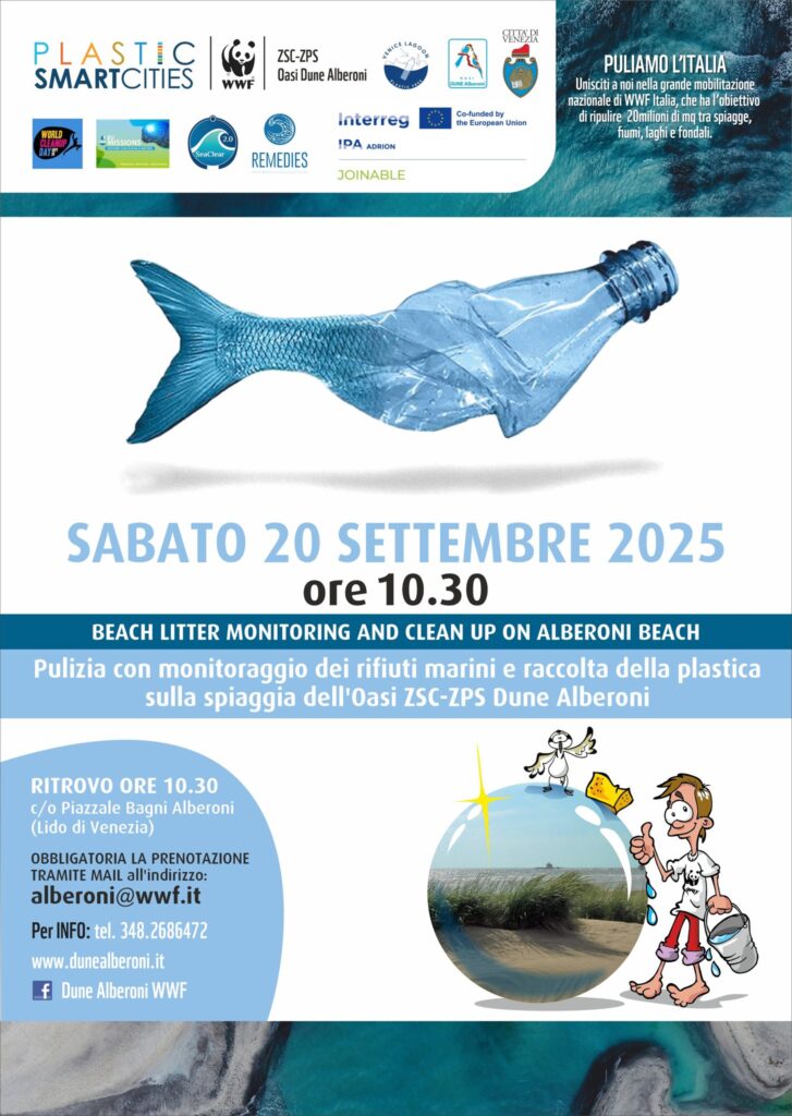 547977159 819043304133983 5878606310735229670 n